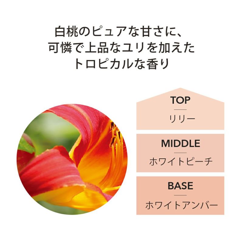 ランプフレグランス ホワイトピーチ＆リリー 500ml フレグランスランプ用オイル ASHLEIGHBURWOOD（アシュレイアンドバーウッド） |  リブインコンフォートオンラインショップ