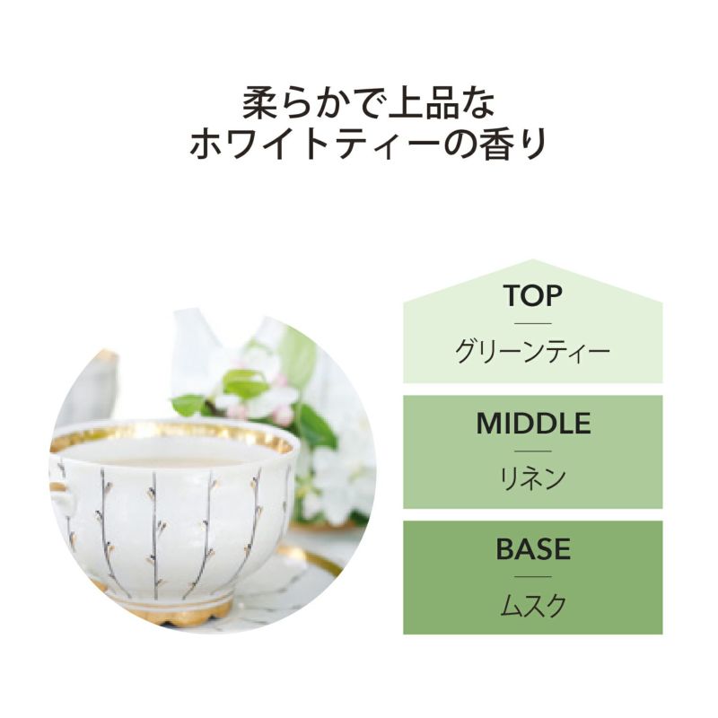 フレグランスランプS スターターキット ASHLEIGH&BURWOOD