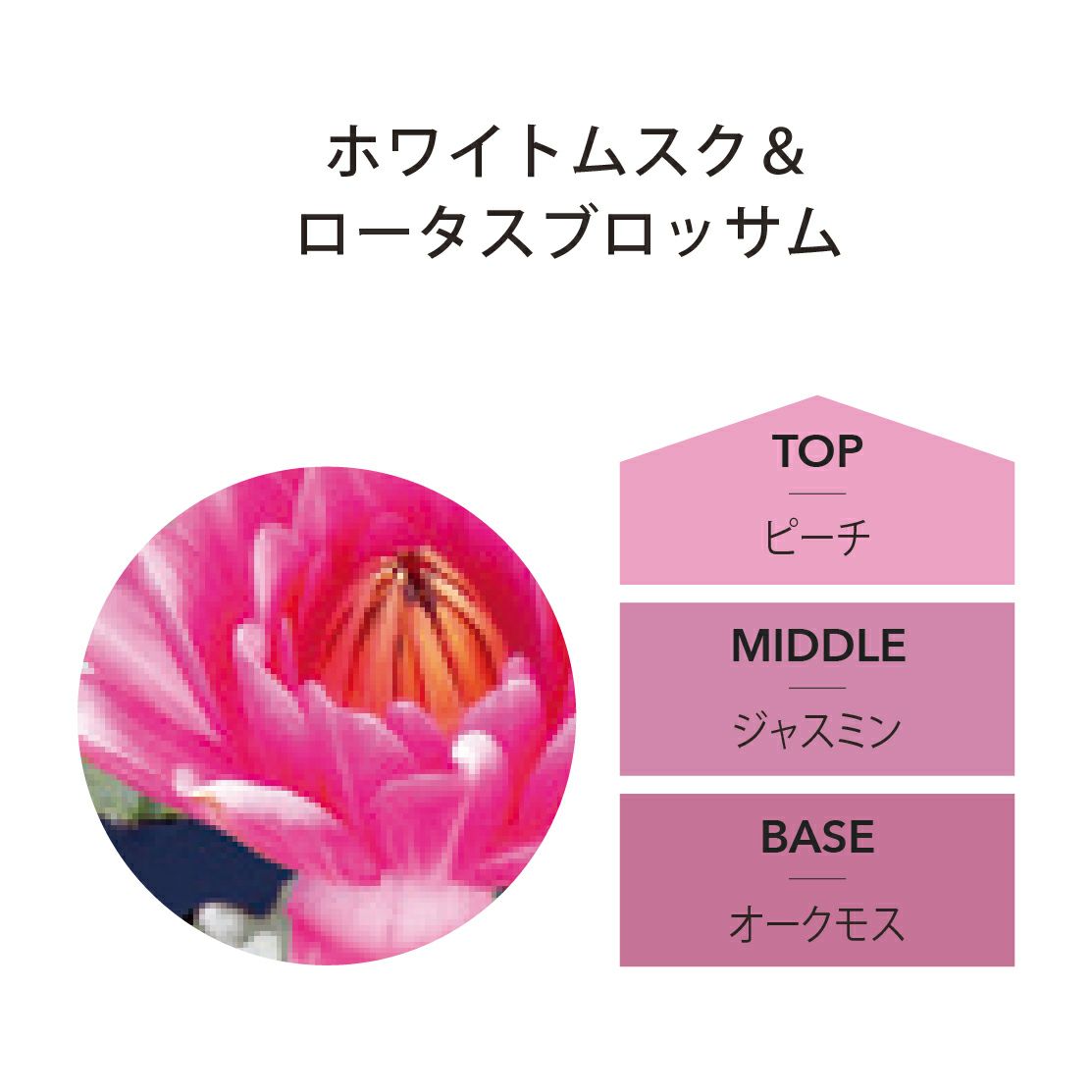 PrimRose　ラヴィアージュ ANGEL R/エンジェルアール】ベア/ ウェディング/ バースデー